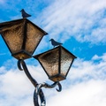 Birds in lamps
