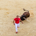 Running the Bulls
