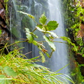 Waterfalls in the forest