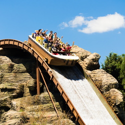 Amusement & Park